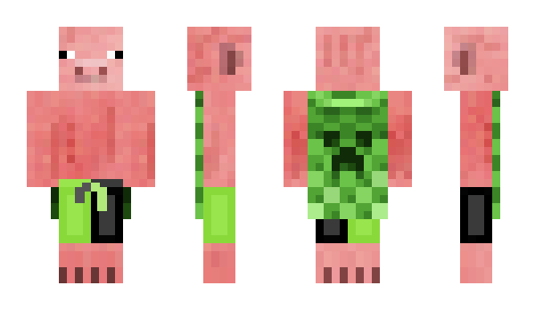 Minecraft skin N1_Dravius