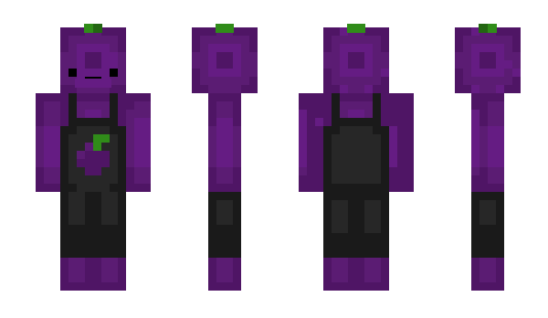 Minecraft skin TotoTamto