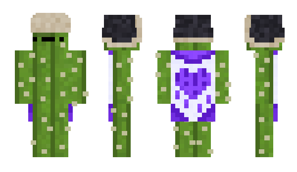 Minecraft скин по нику Groselhakkj