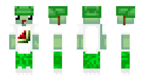 Minecraft skin lenisP