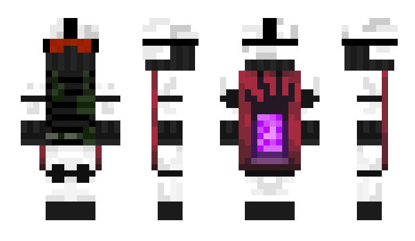 Minecraft skin ArcticMap