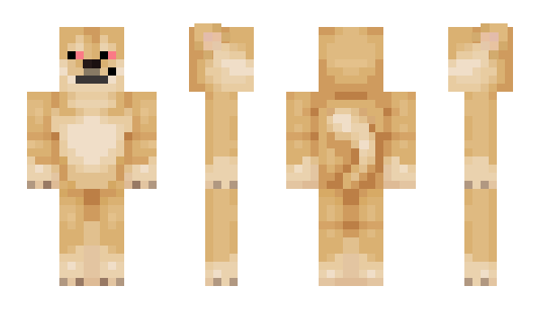 Minecraft skin 2TaktSteuerkette