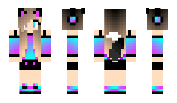 Minecraft skin Istoriaa