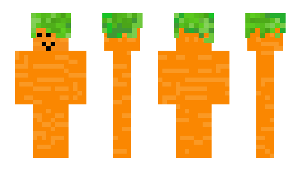 Minecraft skin Carot1