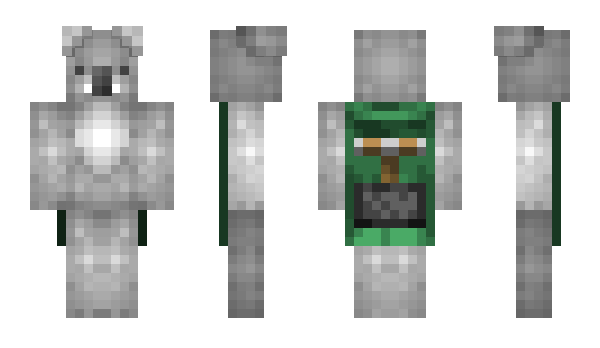 Minecraft skin KingCrowe