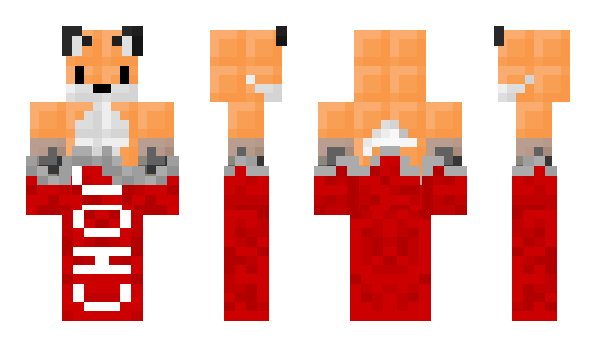 Minecraft skin Burker