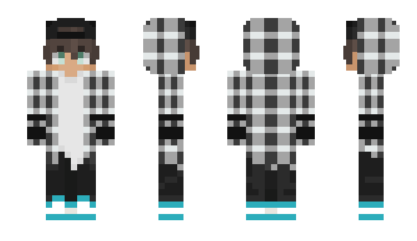 Minecraft skin SNDRM88