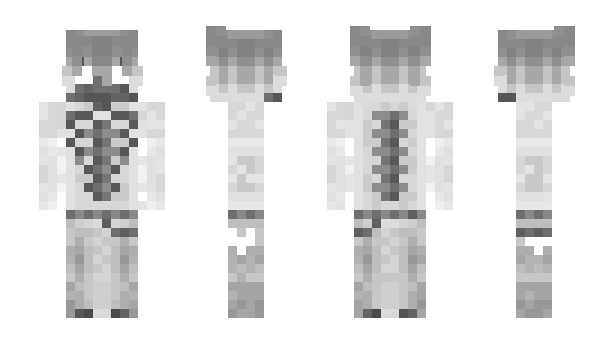 Minecraft skin 4523