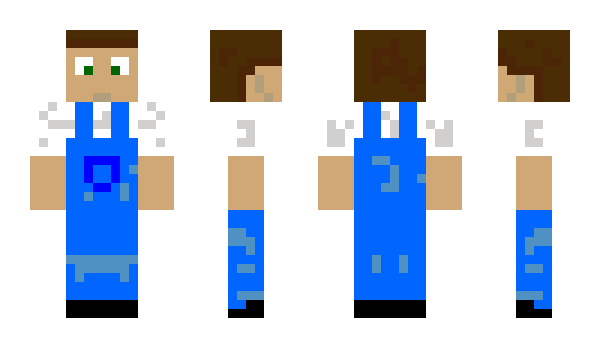 Minecraft skin robin456