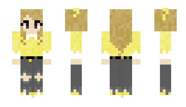 Minecraft skin gamer557