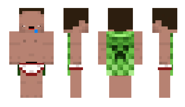 Minecraft skin PaniNeel