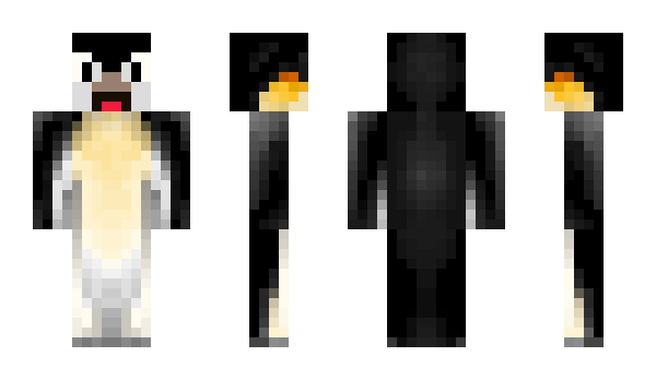 Minecraft skin Zoemr