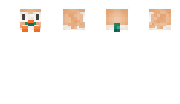 Minecraft skin r0018