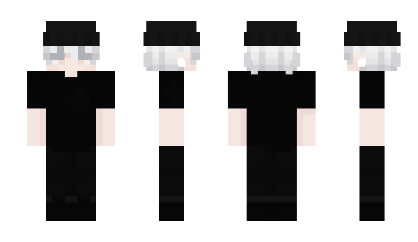 Minecraft skin NerWay