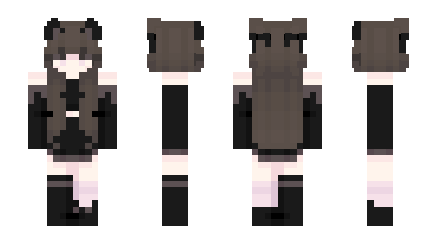 Minecraft skin paradf