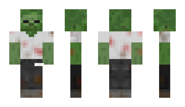 Minecraft skin Fson