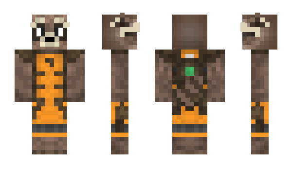 Minecraft skin Racoob