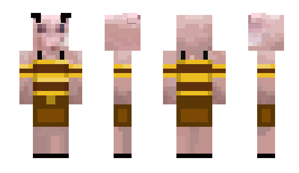 Minecraft skin OldManCon