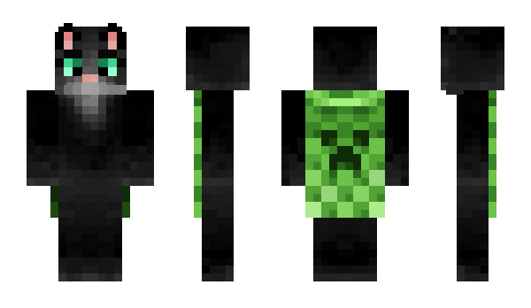 Minecraft skin Reyro