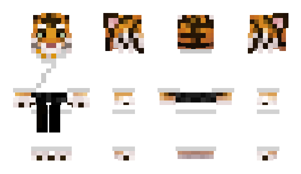 Minecraft skin Terrrr