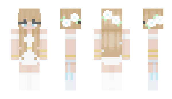 Minecraft skin GEC100