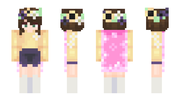 Minecraft skin Anilan