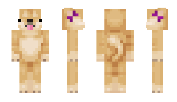 Minecraft skin Taoc
