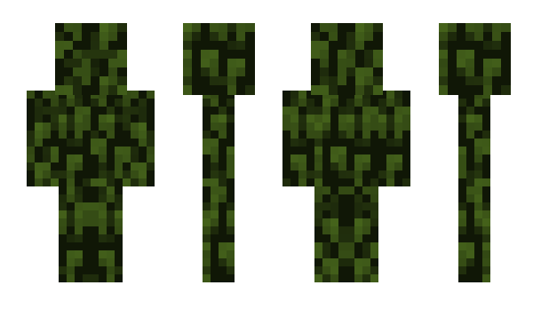 Minecraft skin Broom