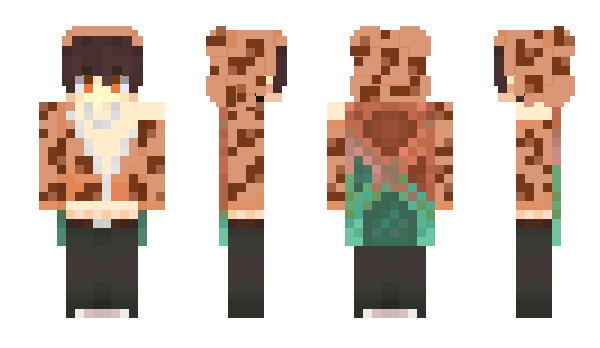 Minecraft skin CTEHA