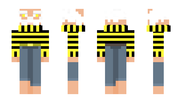 Minecraft skin JerLix