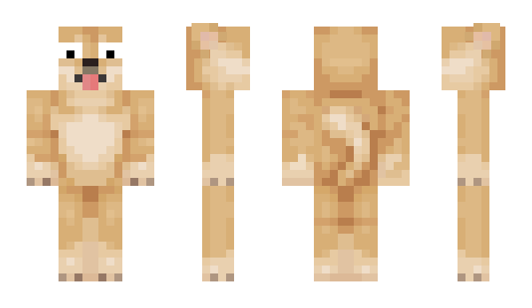 Minecraft skin Shawn107