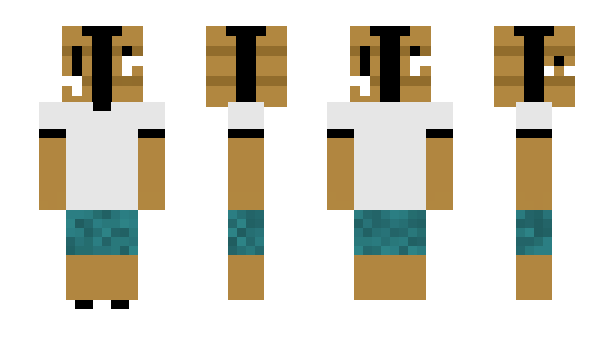 Minecraft skin Zheve