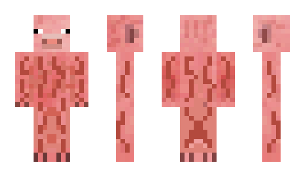 Minecraft skin Extero