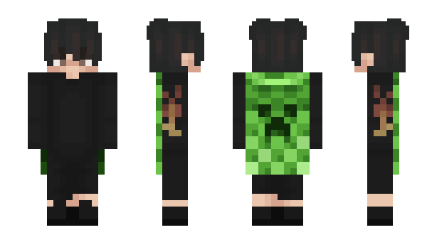 Minecraft skin 1723