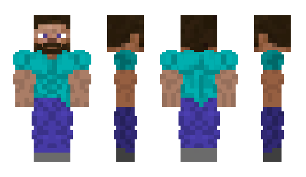 Minecraft skin 0263