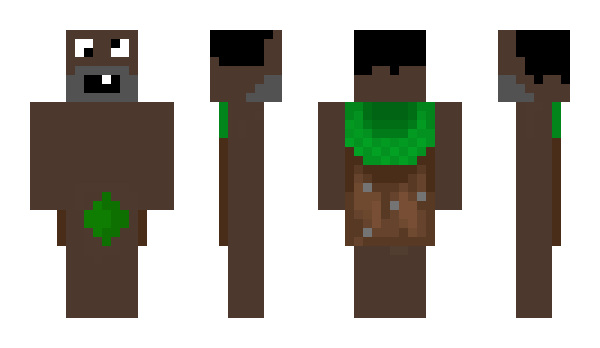 Minecraft skin lappa_usa