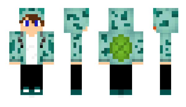 Minecraft skin Danger_OS