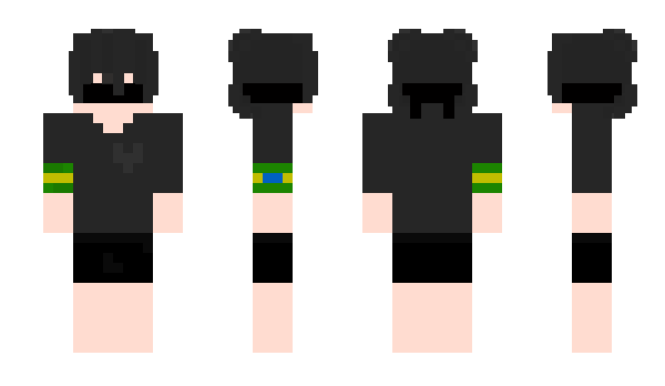 Minecraft skin senn_Hacking