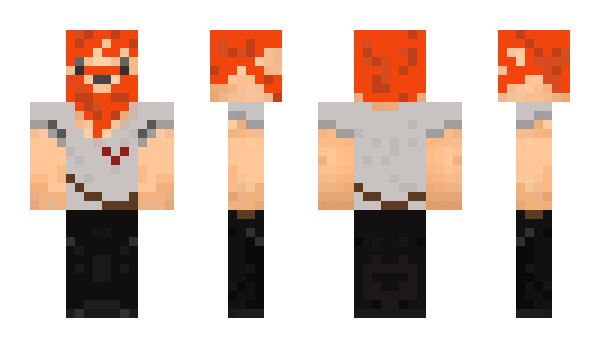 Minecraft skin Prol