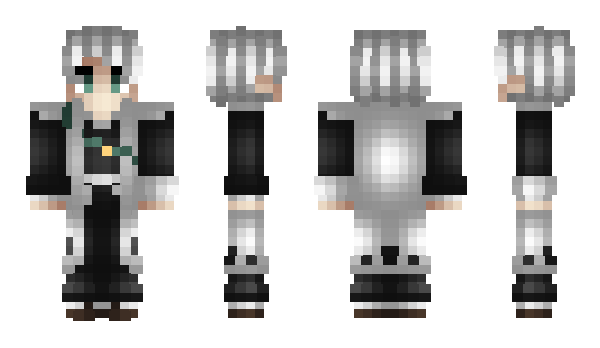 Minecraft skin Toyash