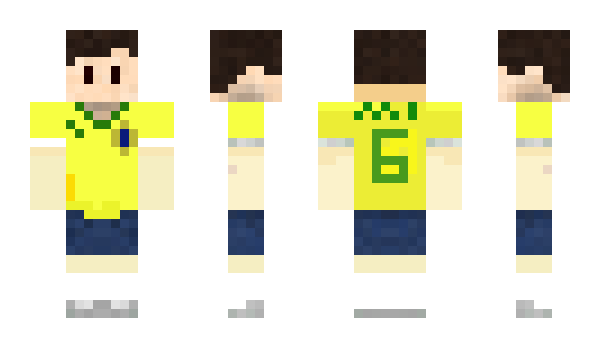 Minecraft skin Brasilia