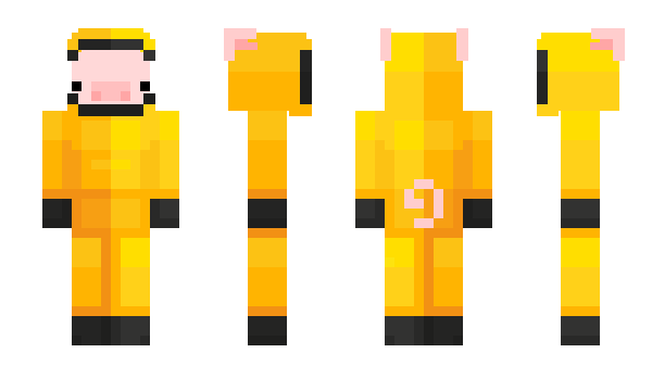 Minecraft skin Pigvomit