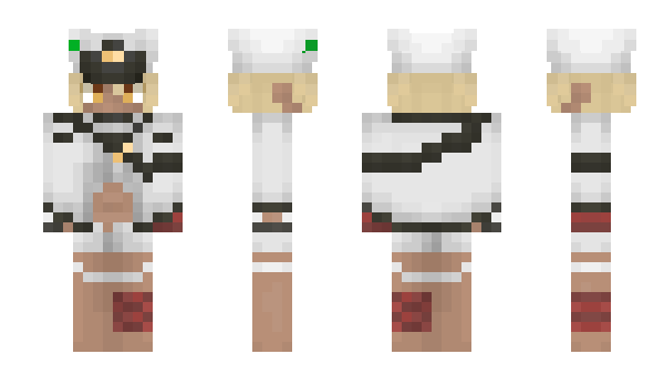 Minecraft skin Kitkart