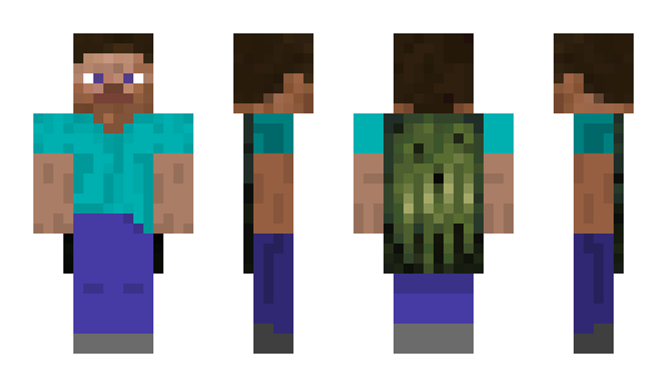Minecraft скин по нику stevie_blocks