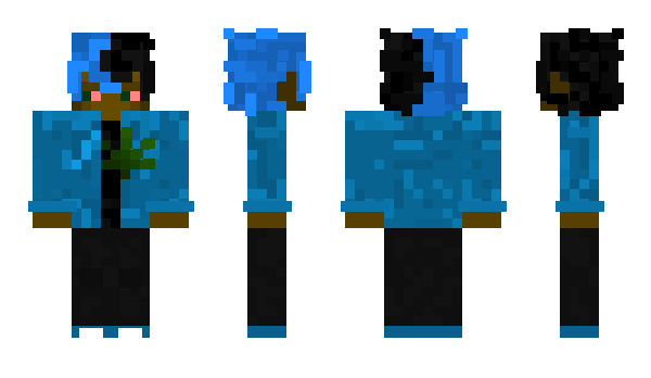 Minecraft skin Resval