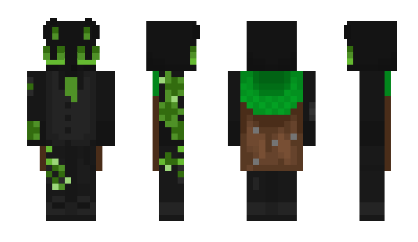 Minecraft скин по нику echobl