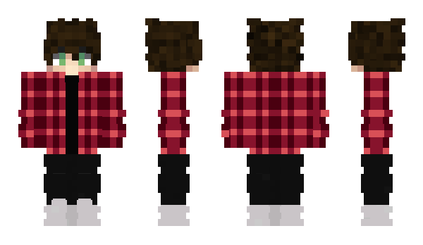 Minecraft skin FriendlyD