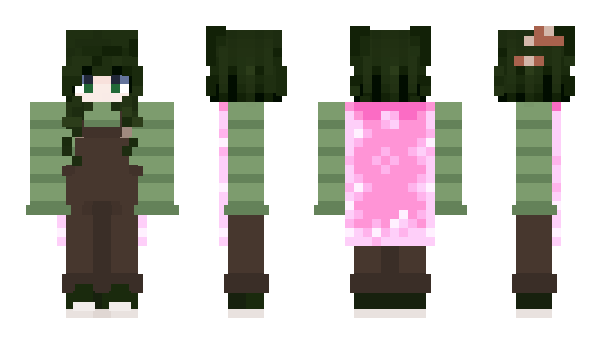 Minecraft skin JayarWild