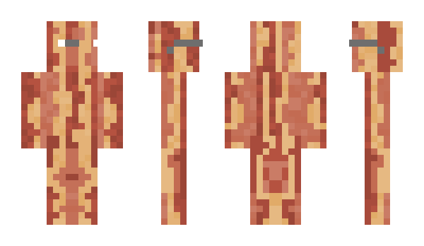 Minecraft skin BaconPvP