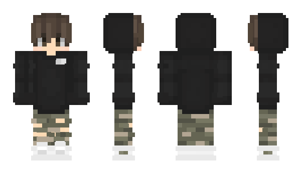 Minecraft skin X6N